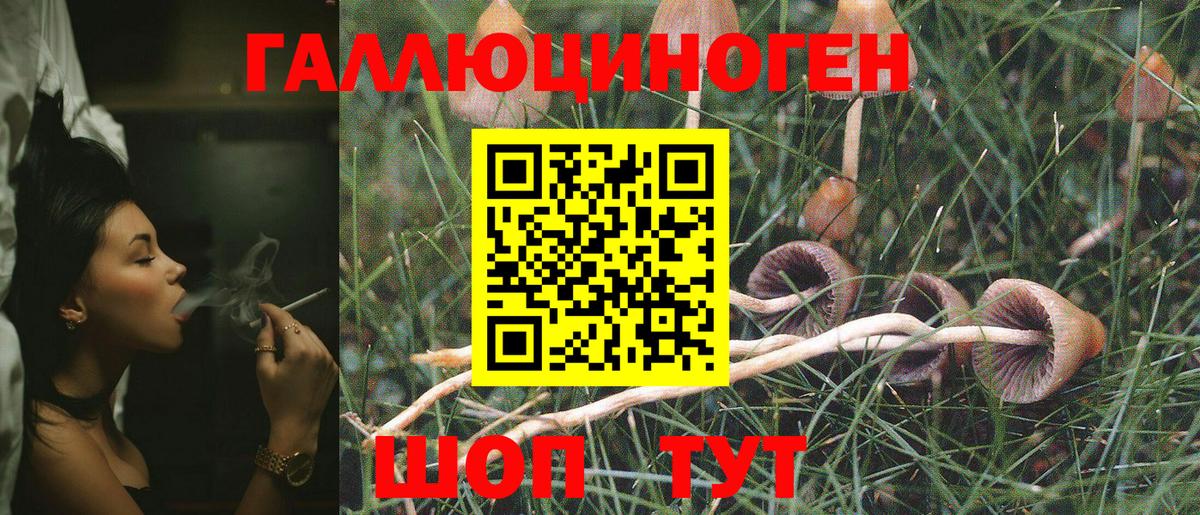 Галлюциногенные грибы прущие грибы  Вход с VPN  Холмск 