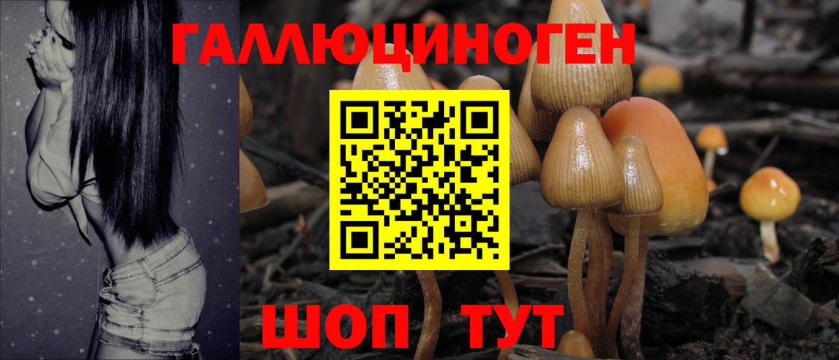 Галлюциногенные грибы Cubensis Холмск